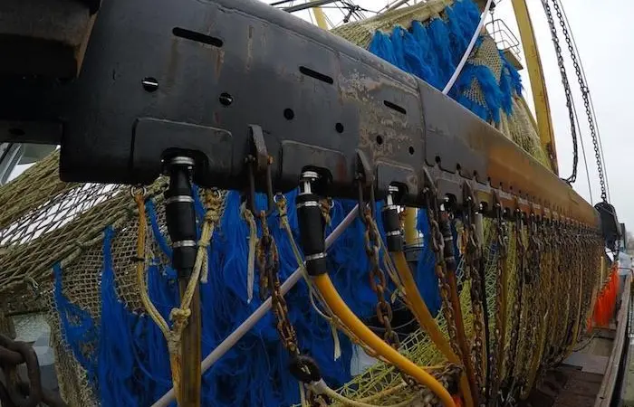 Pulse fishing to be phased out by 2021