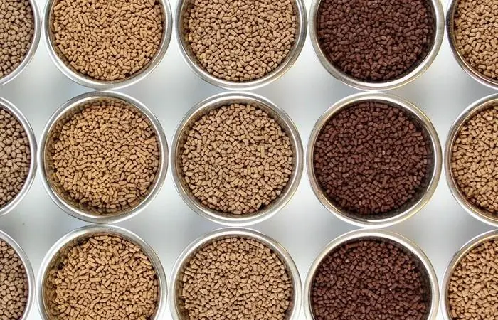 Feed for Recirculating Aquaculture