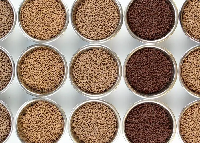 Feed for Recirculating Aquaculture