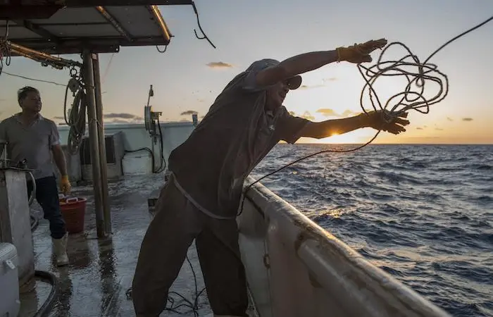 Year three of tuna and swordfish project