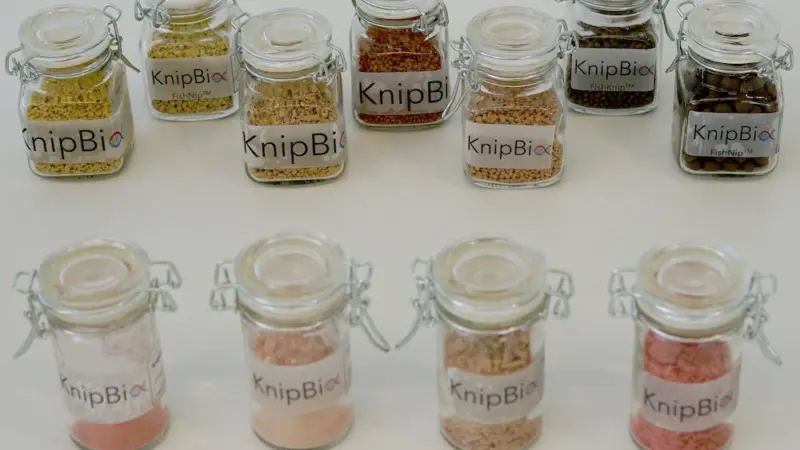 FDA green light for KnipBio Meal