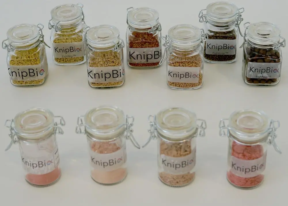 FDA green light for KnipBio Meal