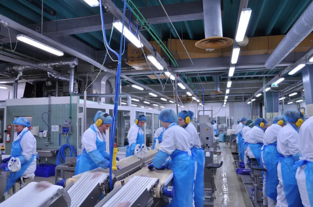 00_67351_Fish-processing