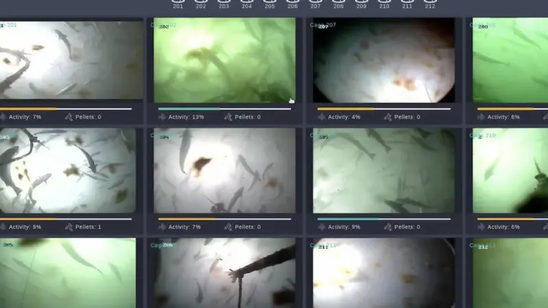 Artificial intelligence developed by AKVA and Observe Technologies helps feed fish more efficiently Photo: AKVA