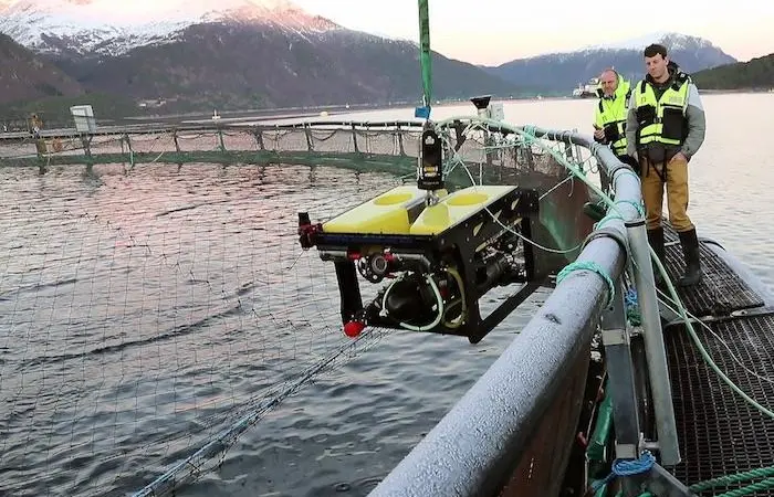 SINTEF Ocean hosted trials at its facility in Trondheim in Norway Photo: SINTEF Ocean