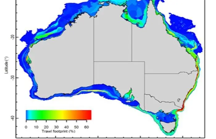 Data about the Australian seabed has been reviewed to see which areas are at risk from trawling Photo: CSIRO