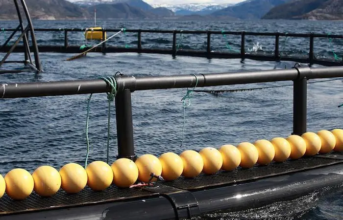 Maritech and Sea Data Center are producing an analytics tool to help customers understand seafood marketing trends Photo: Maritech