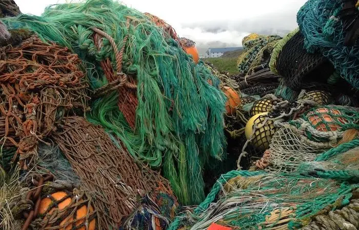 The seafood industry is making progress in tackling ghost gear Photo: World Animal Protection