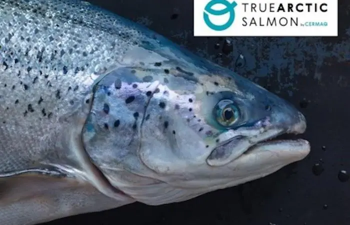 Cermaq has launched True Arctic Salmon Photo: Cermaq