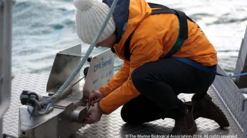 Sixty years of data on ocean plastics