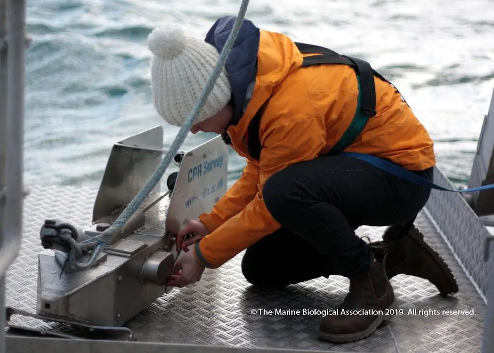 Sixty years of data on ocean plastics