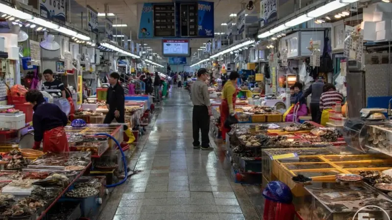 Seafood fraud is common in South Korea, according to the results of a DNA study by EJF Photo: EJF