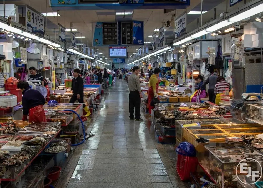 Seafood fraud is common in South Korea, according to the results of a DNA study by EJF Photo: EJF