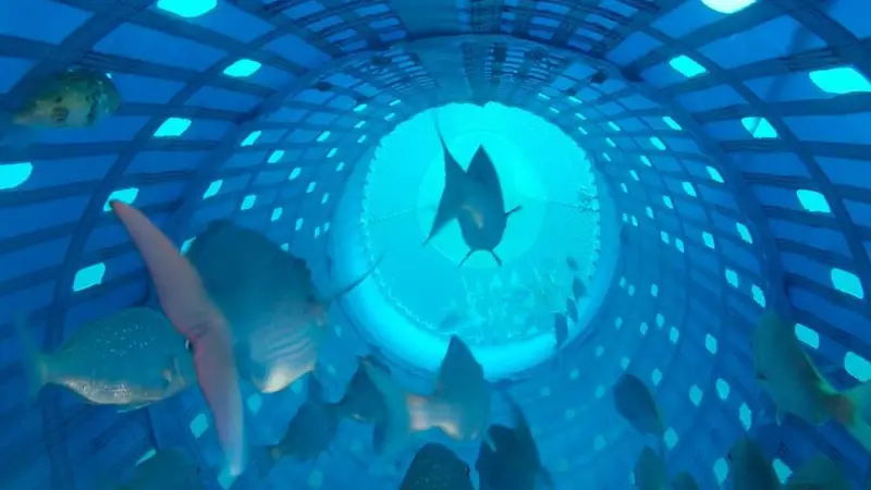 Kiwi technology approved for inshore fishery