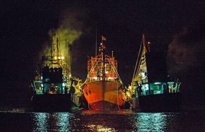 M&S and Waitrose have joined EJF's fight against illegal fishing Photo: Environmental Justice Foundation