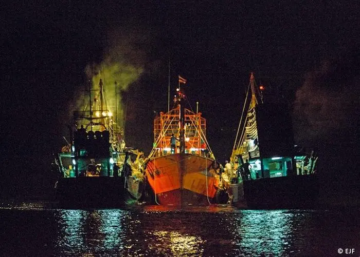 M&S and Waitrose have joined EJF's fight against illegal fishing Photo: Environmental Justice Foundation