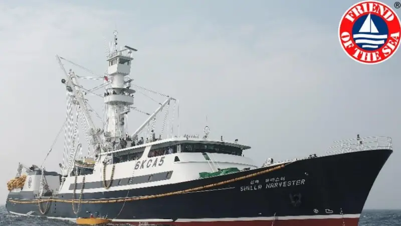 Silla Co. has been awarded Friend of the Sea certification Photo: Silla Co.