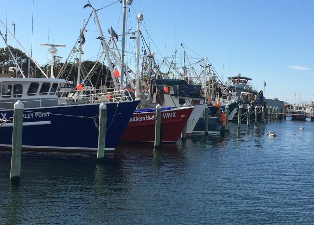 AFMA and SETFIA have entered into a co-management arrangement Photo: AFMA