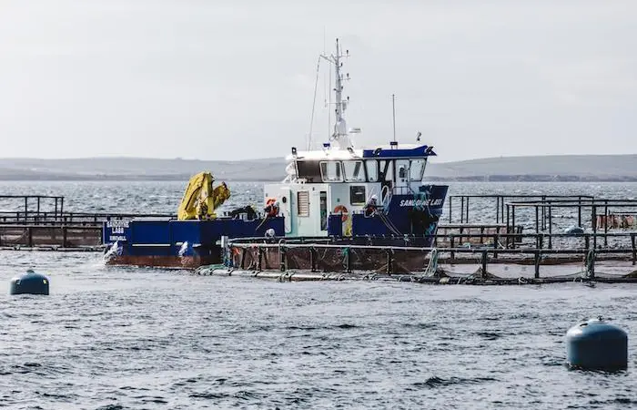 Scottish Sea Farms is opening a new salmon farm off the island of Hunda Photo: Scottish Sea Farms