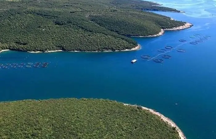 Croation aquaculture company, Cromaris, has been awarded FoS certification Phtoto: FoS