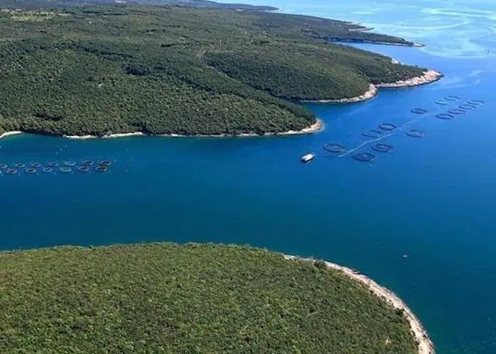 Croation aquaculture company, Cromaris, has been awarded FoS certification Phtoto: FoS