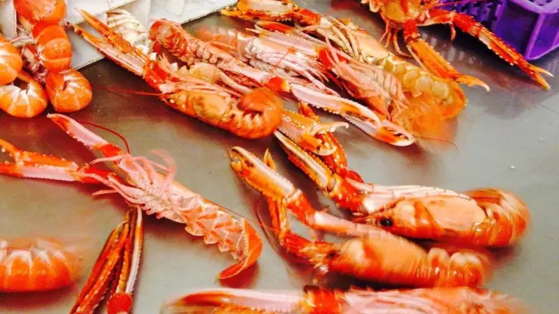 shellfish