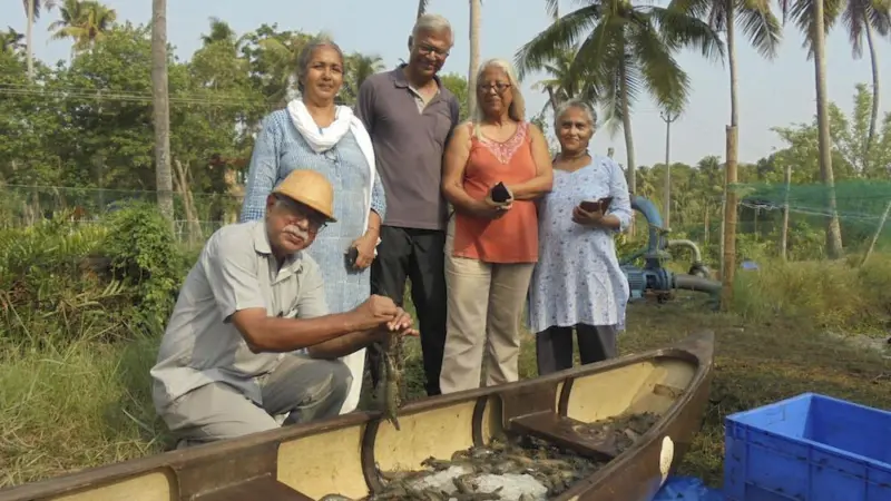 India is experiencing a comeback of black tiger shrimp Photo: MPEDA
