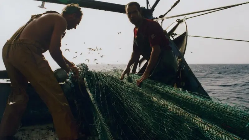 Mediterranean countries and the EU have strengthened commitments made under the MedFish4Ever pledge