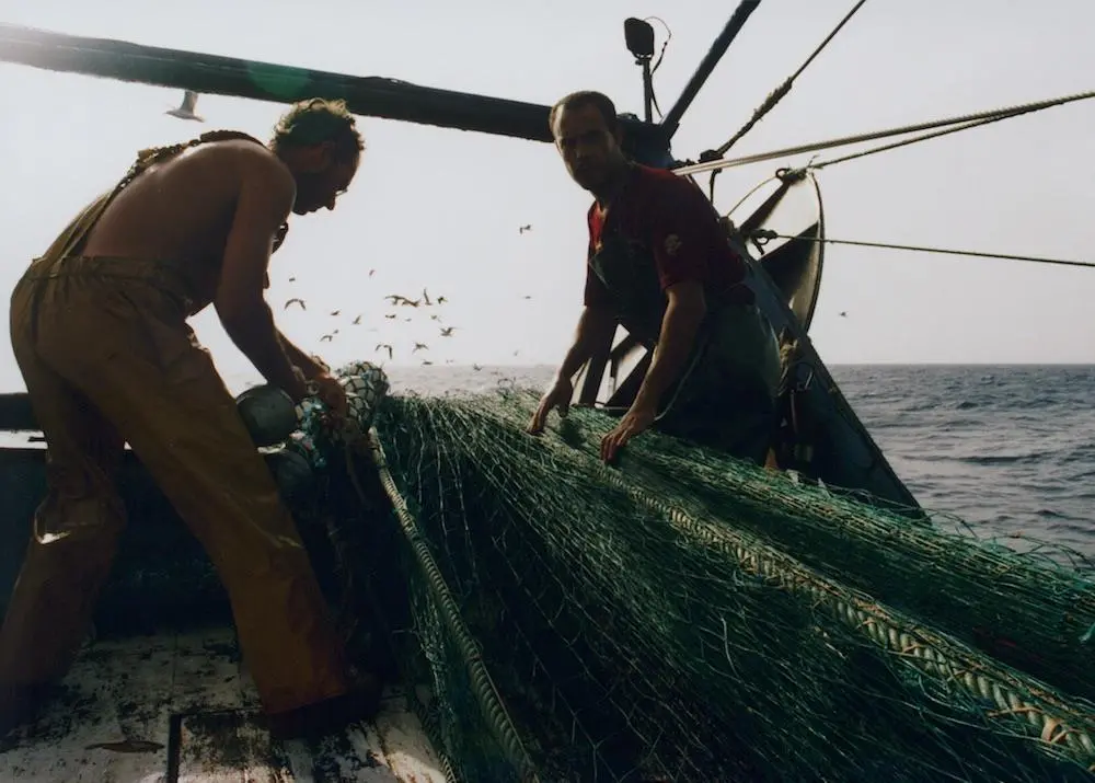 Mediterranean countries and the EU have strengthened commitments made under the MedFish4Ever pledge