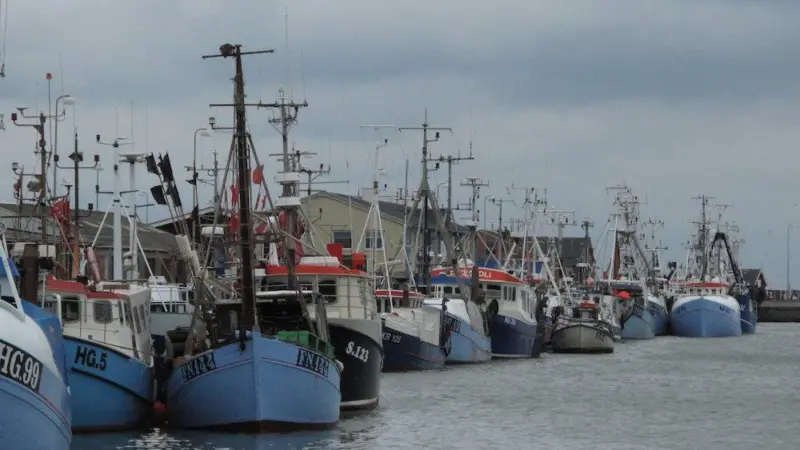 EU fisheries management hits difficulties