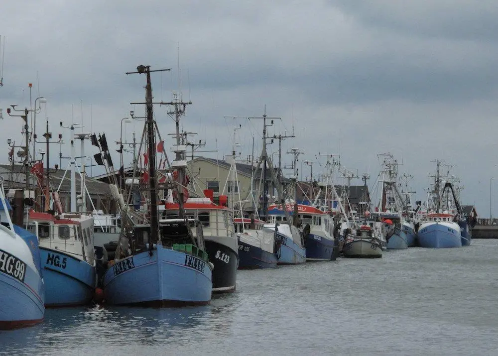 EU fisheries management hits difficulties