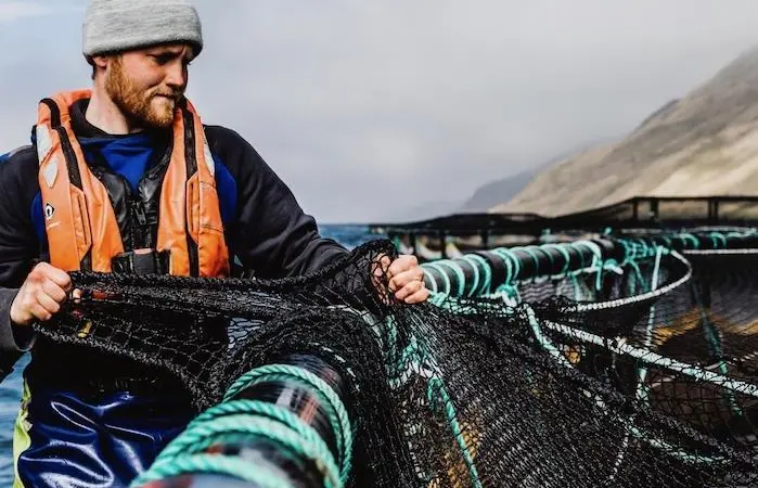Anti-seal netting investment pays off