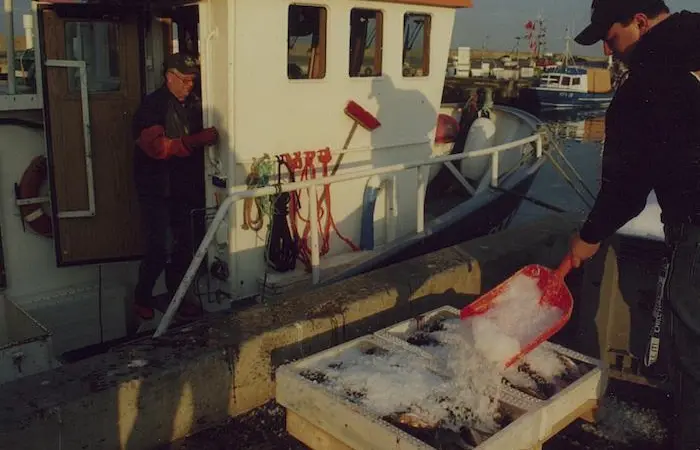 Europêche argues that the closure of the eastern Baltic cod fishery is unnecessary and will damage fishing communities Photo: Europêche
