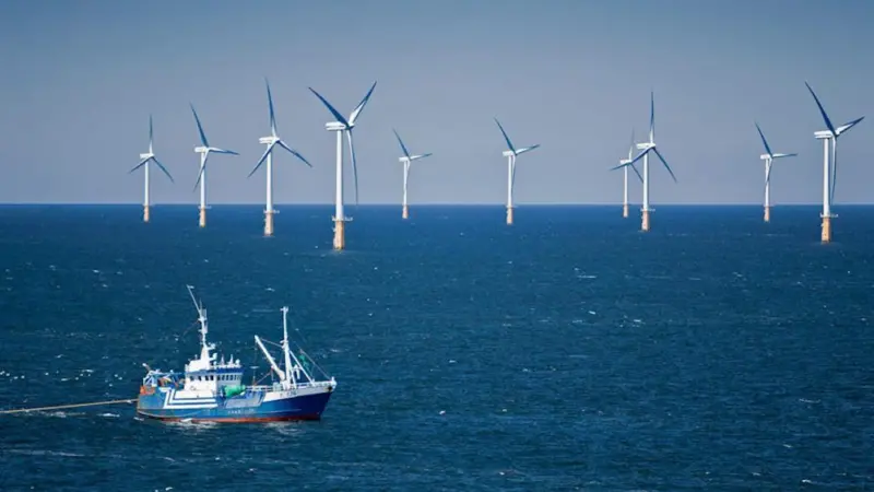 Europêche is concerned that windfarms are being planned without considering environmental impact Photo: Frans Lemmens via Hollandse Hoogte