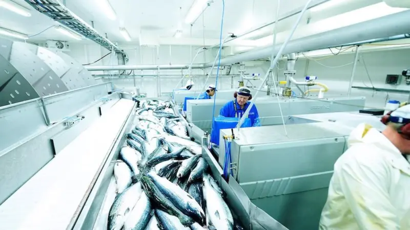 Seafood’s changing tide