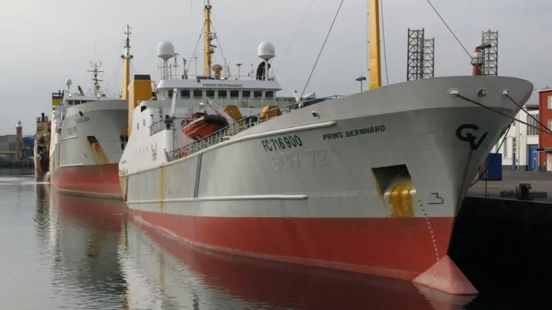 EU fishing profits are robust thanks to sustainable fishing initiatives