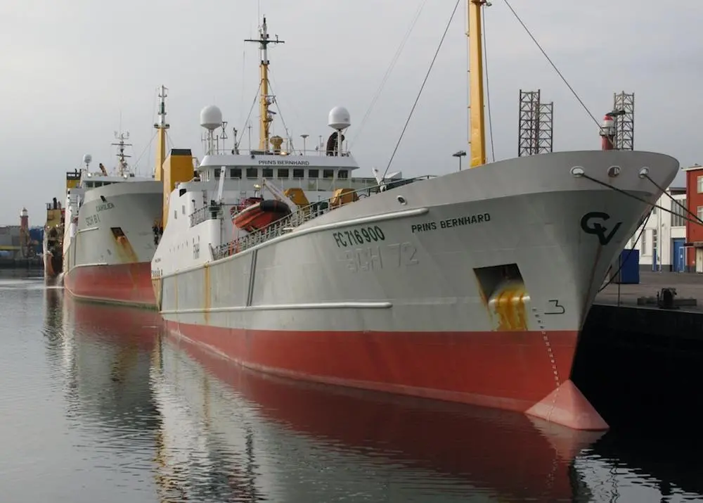 EU fishing profits are robust thanks to sustainable fishing initiatives
