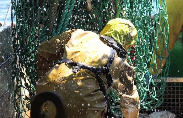 T90 mesh for whitefish discard reduction
