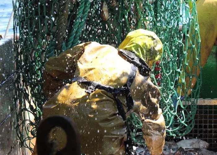 T90 mesh for whitefish discard reduction