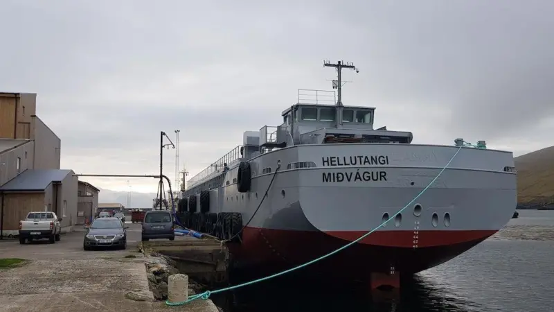 Salmon Aquaculture: cleaning up the sea lice