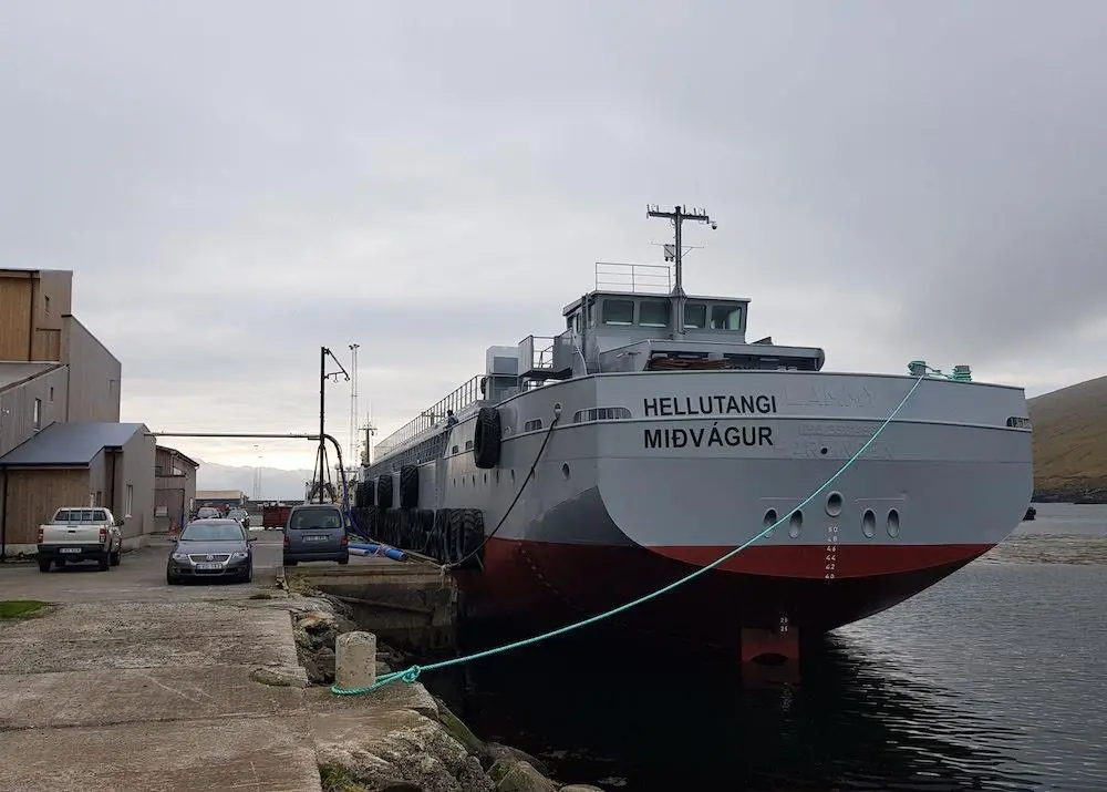 Salmon Aquaculture: cleaning up the sea lice