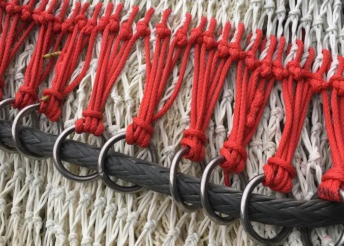 ?Irish fleet does well in albacore season