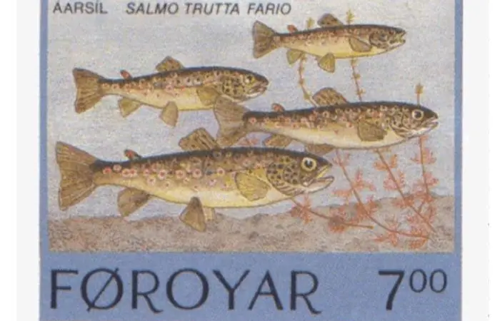 The genome of the brown trout has been sequenced allowing scientists to better understand its 'genetic superpowers'