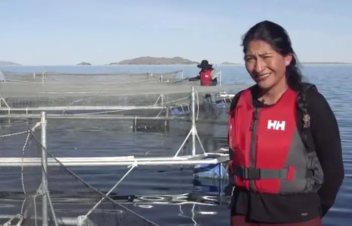 ‘Truchas arapa, or The Aquaculture women of Lake Arapa’ – winner of third prize at this year’s Women in Seafood video competition Photo: WSI