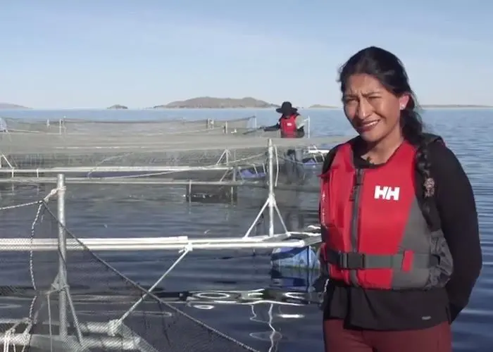 ‘Truchas arapa, or The Aquaculture women of Lake Arapa’ – winner of third prize at this year’s Women in Seafood video competition Photo: WSI