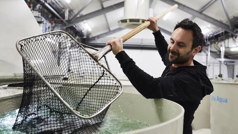 BioMar is creating a RAS task force to focus on land-based salmon farming Photo: BioMar