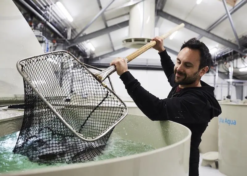 BioMar is creating a RAS task force to focus on land-based salmon farming Photo: BioMar