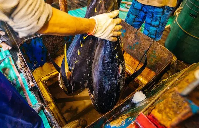 Marshall Islands score MSC certification