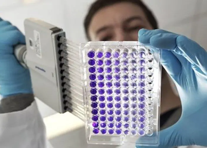Nutreco is searching for promising young researchers Photo: Nutreco