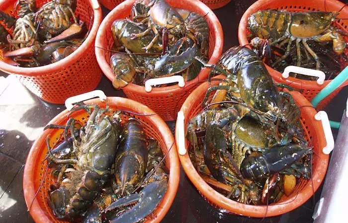 Inland Seafood has joined Sea Pact Photo: NOAA
